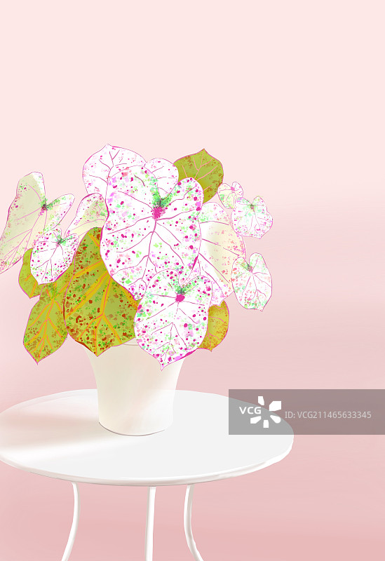 半写实热带植物插画图片素材