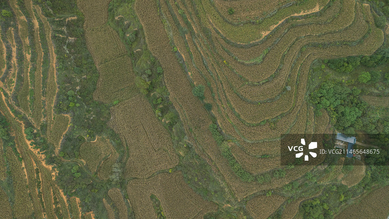 航拍梯田纹理与线条图片素材
