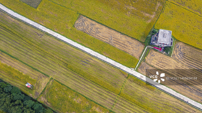 金秋丰收图片素材