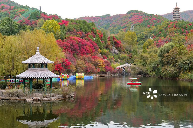 山东济南红叶谷绚秋湖秋色图片素材