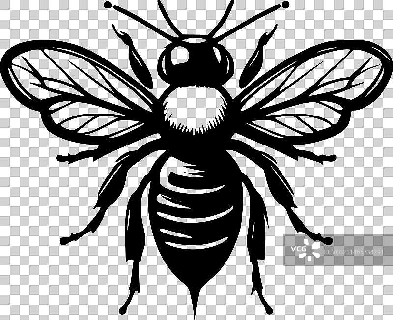 蜜蜂 - 简约剪影图片素材