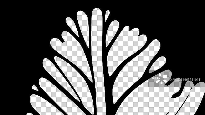 高品质木纹T恤logo图片素材