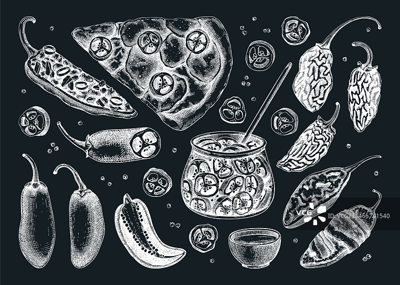 成熟的墨西哥辣椒素描图片素材