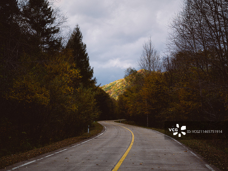 秋季公路图片素材