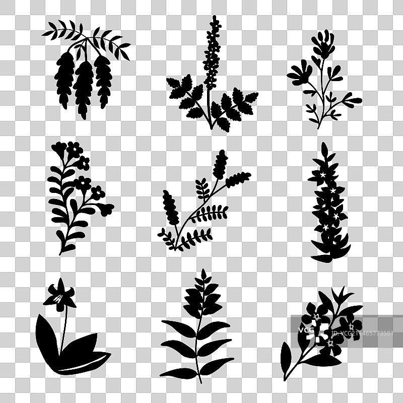 隔离鲜花套装图片素材