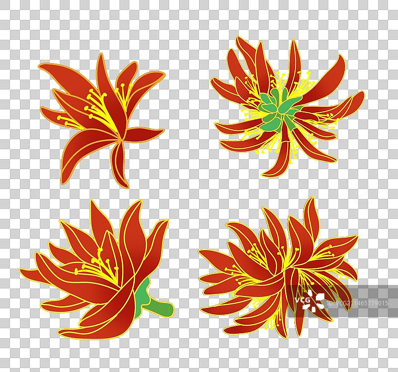 刺桐花图片素材