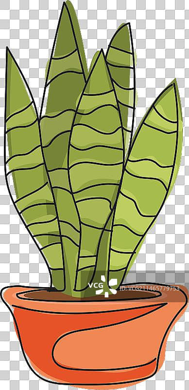 盆栽植物图片素材