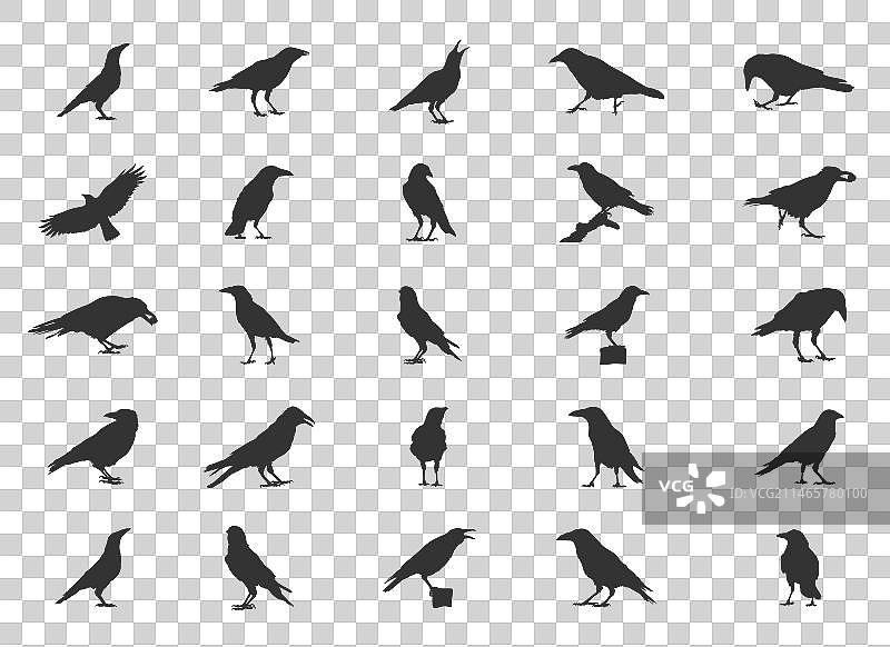 乌鸦剪影，乌鸦飞行SVG图片素材