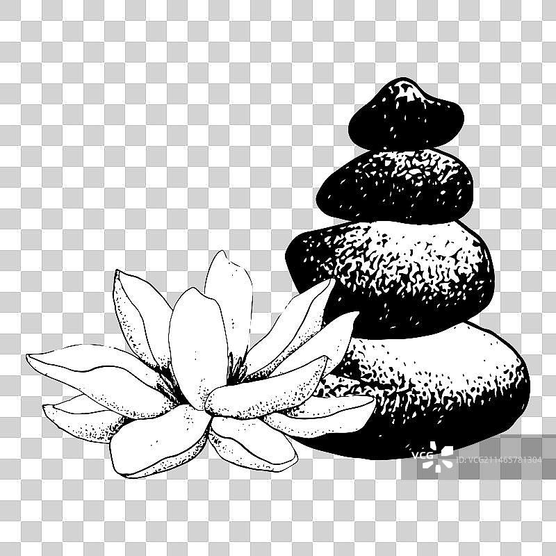 荷花与平衡石金字塔素描图片素材