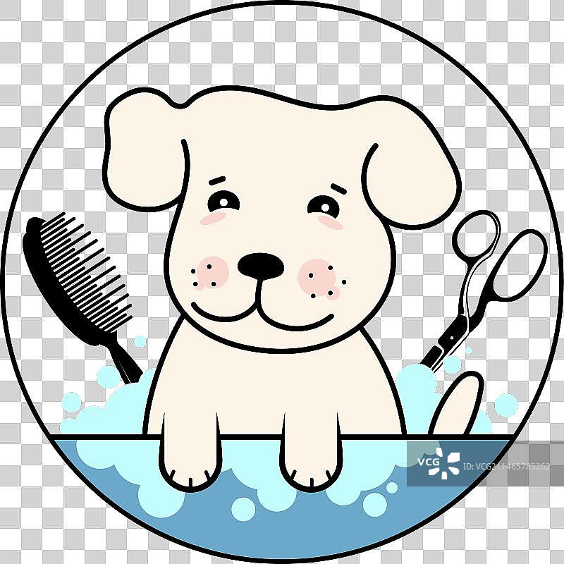 可爱的小狗正在被梳洗图片素材