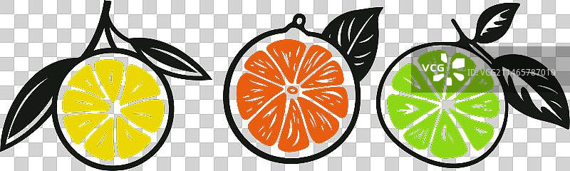 柑橘飞溅活力图标集图片素材