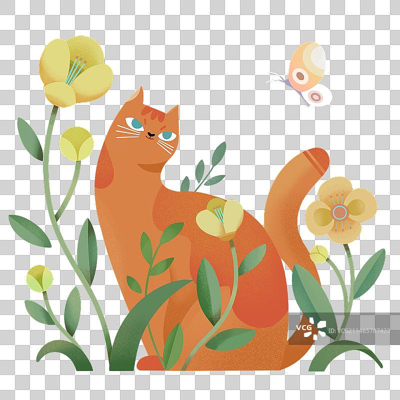 猫咪在花丛中图片素材