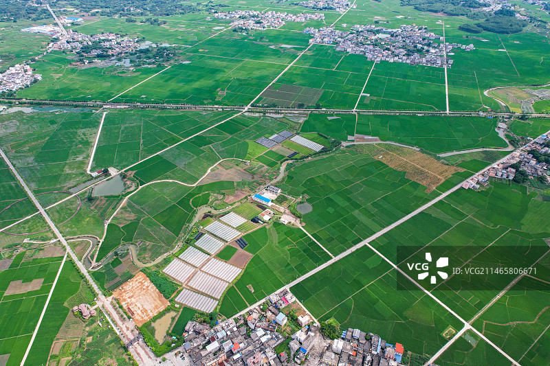 航拍广西宾阳稻田稻花香里旅游区图片素材