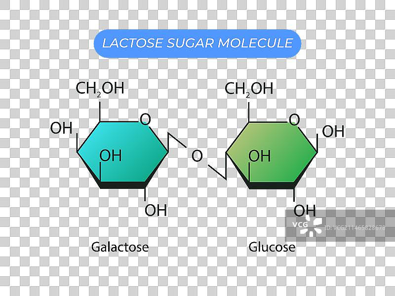 乳糖分子结构：葡萄糖和半乳糖图片素材