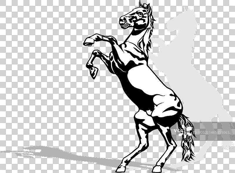 奔腾的骏马图片素材