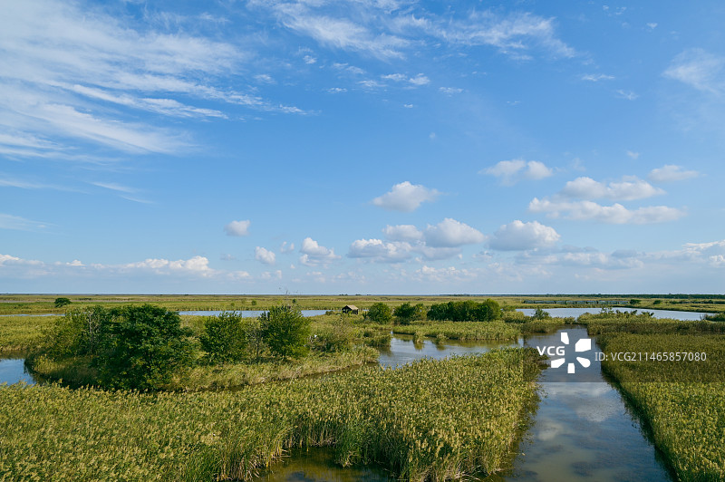 丹顶鹤湿地保护公园图片素材