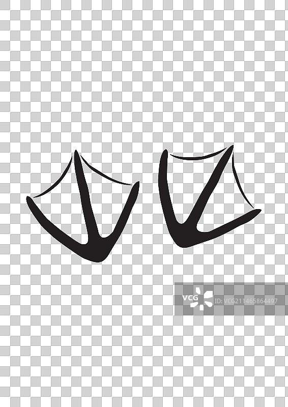 鹅脚印 - 踪迹图片素材