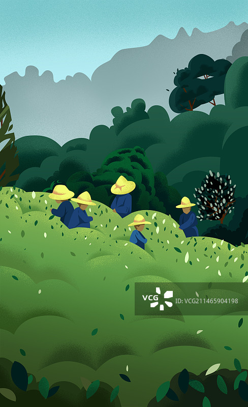 工人在茶田采茶图片素材