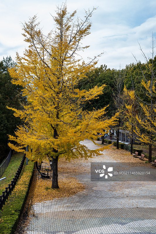 西武秩父一日图片素材