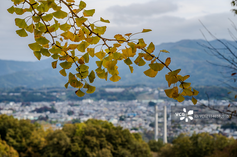 西武秩父一日图片素材