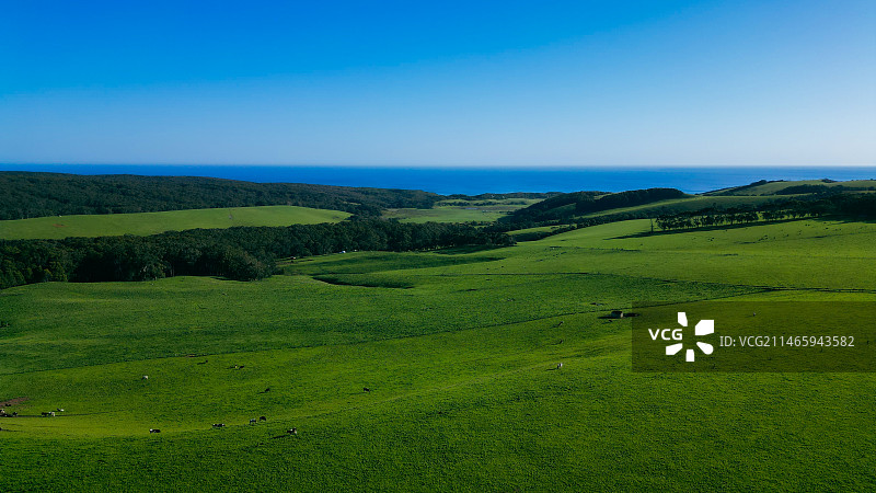 大奥特威国家公园Great Otway National Park图片素材
