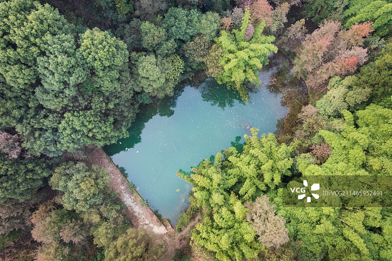 航拍重庆高新区科学城虎峰山森林公园图片素材