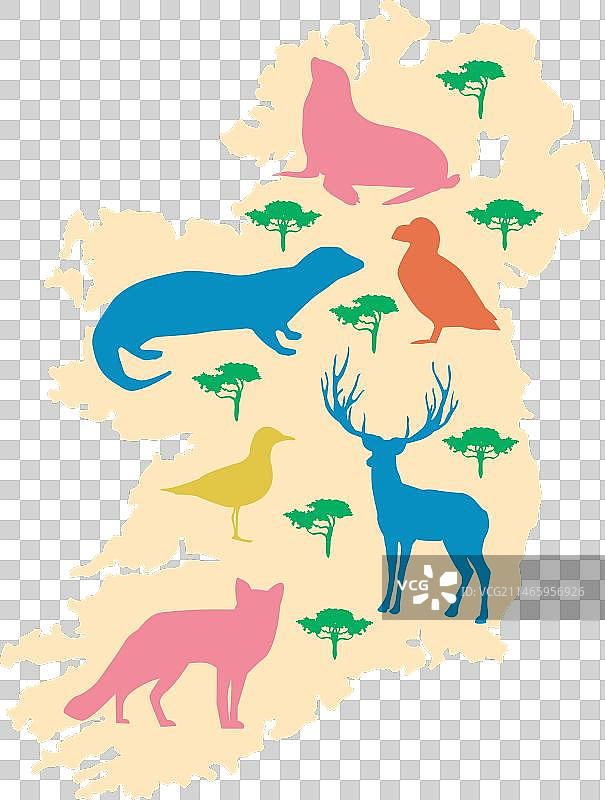 爱尔兰动物图片素材