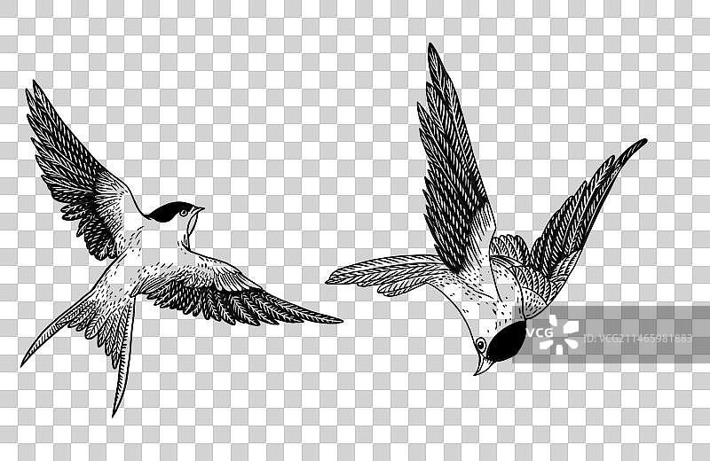 国风版画燕子免抠插画元素图片素材