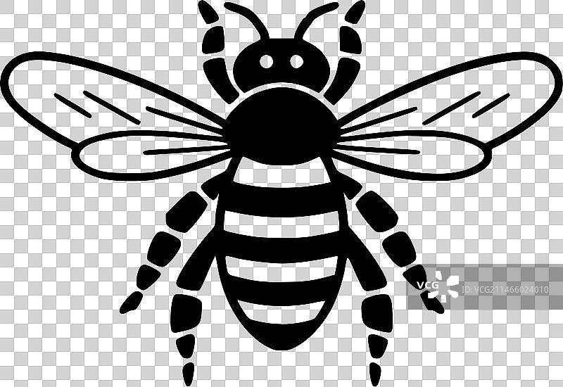 蜜蜂高品质Logo设计，适用于T恤图片素材