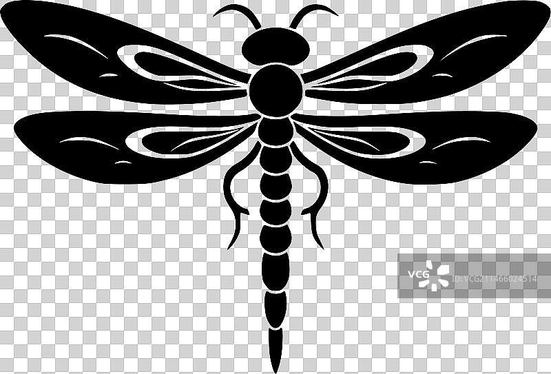 蜻蜓 - 黑白图片素材