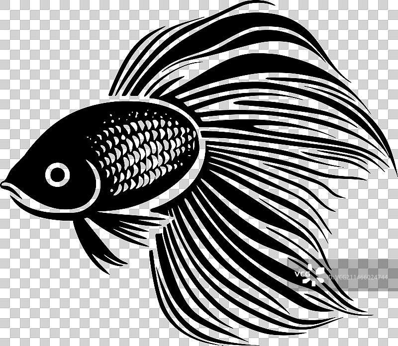 鱼-黑色和白色孤立的图标图片素材