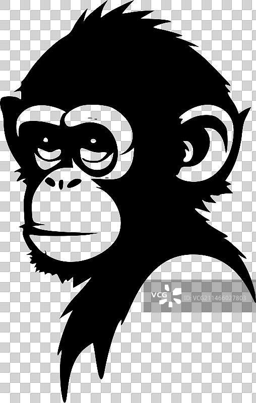 黑白猴子图片素材