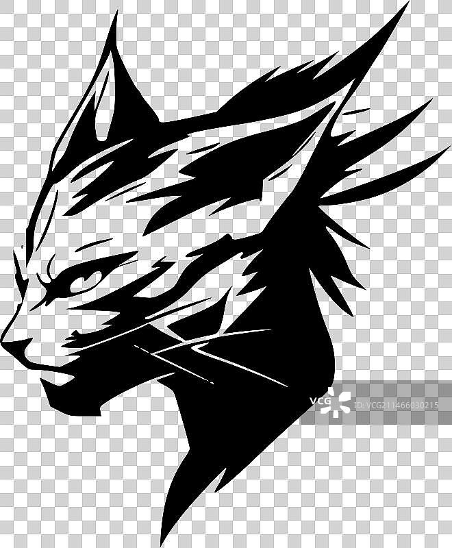 野猫 - 黑白图片素材