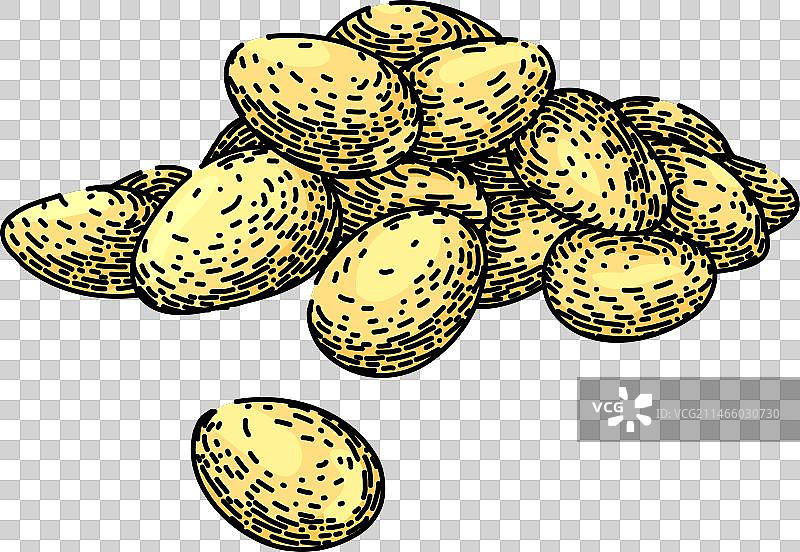 手绘松子美食素描图片素材