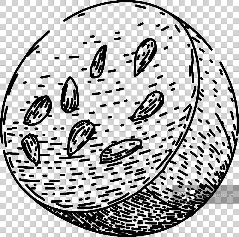 手绘醋栗素描图片素材