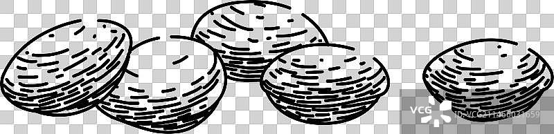 印加果油手绘草图图片素材