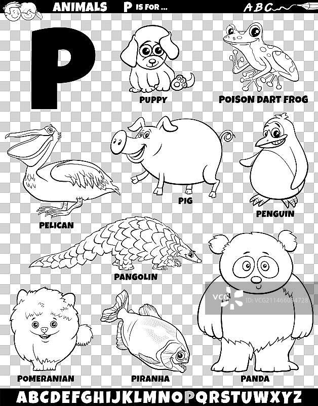 字母p教育卡通动物角色图片素材