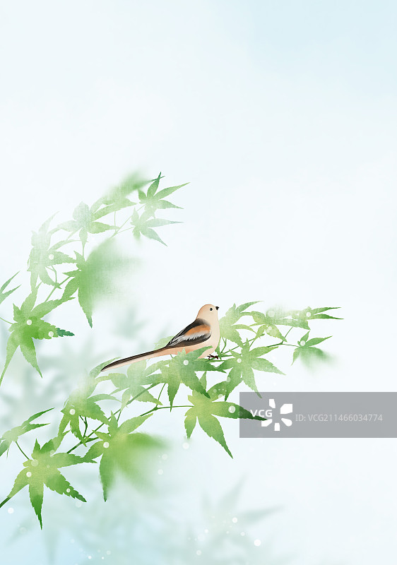 绿色枫叶自然中式插画图片素材