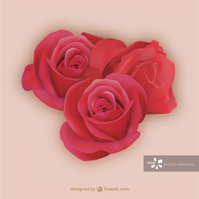 木槿花矢量素材图片素材