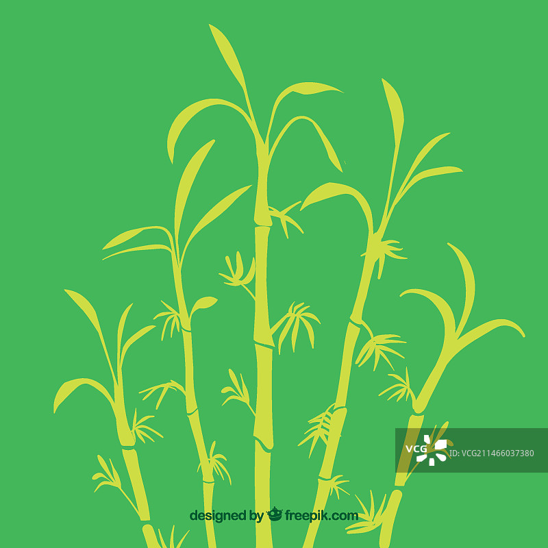 热带竹树剪影图片素材
