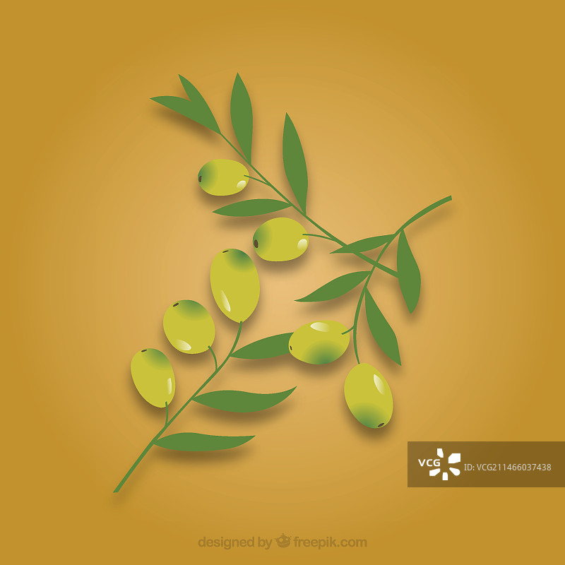 矢量包中的橄榄枝叶图片素材