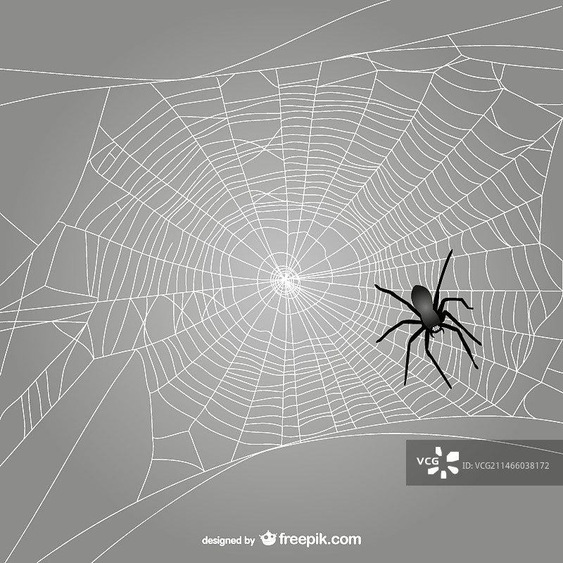 黑色蜘蛛网矢量图图片素材