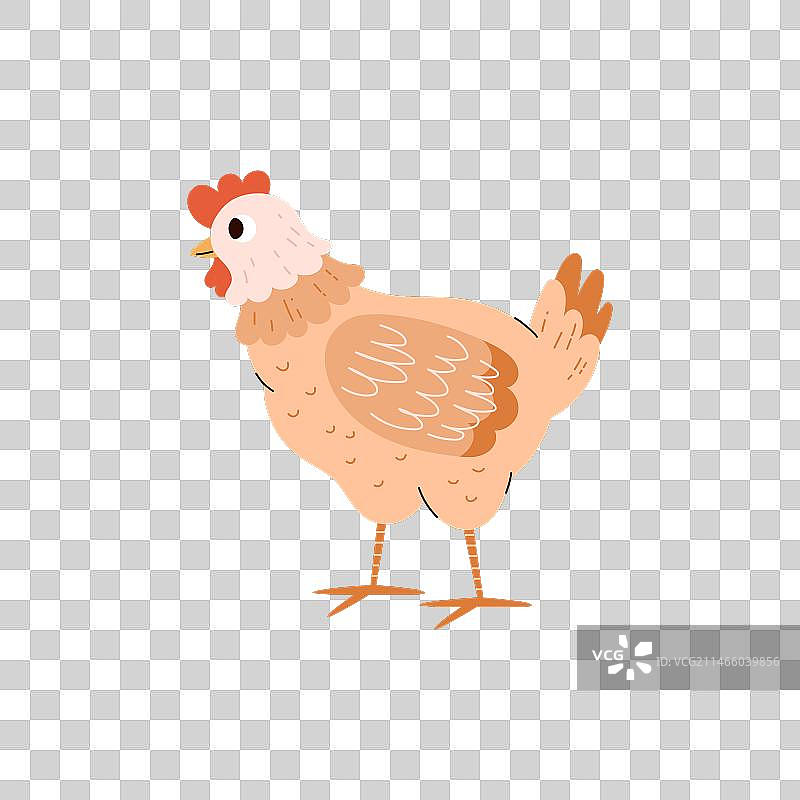 家养鸡卡通人物扁平风格图片素材
