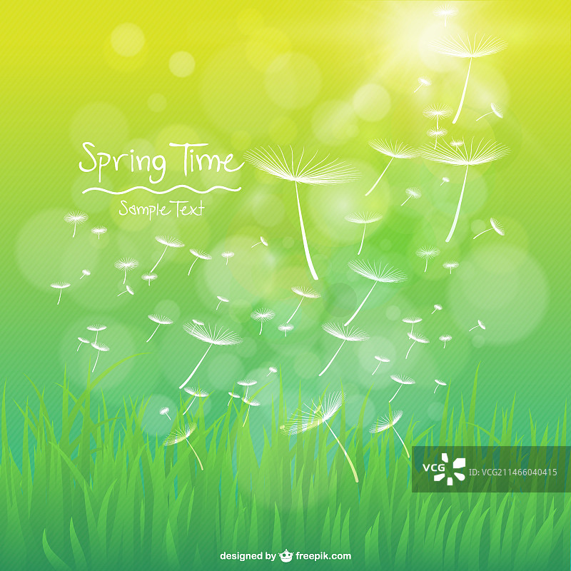 草地上的蒲公英与散景效果图片素材