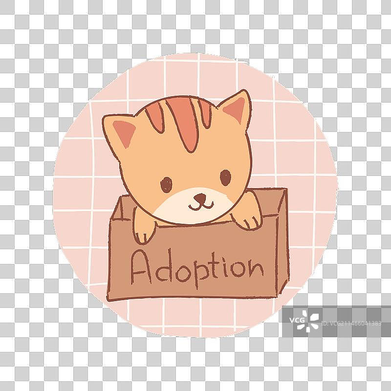 箱子里的可爱姜黄色米色猫咪宠物领养图片素材