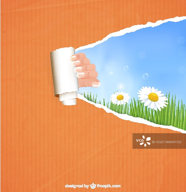 手和雏菊背景的撕裂纸张图片素材