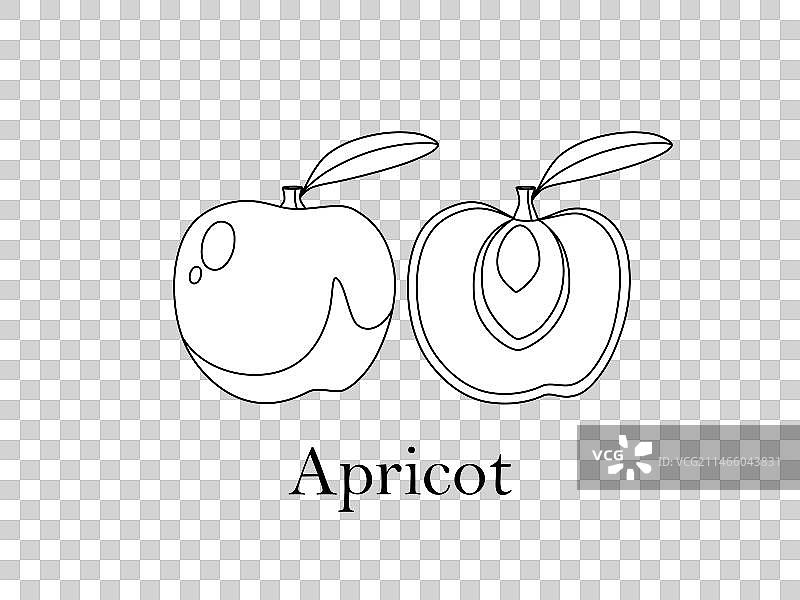 带签名完整杏子的涂色卡片图片素材