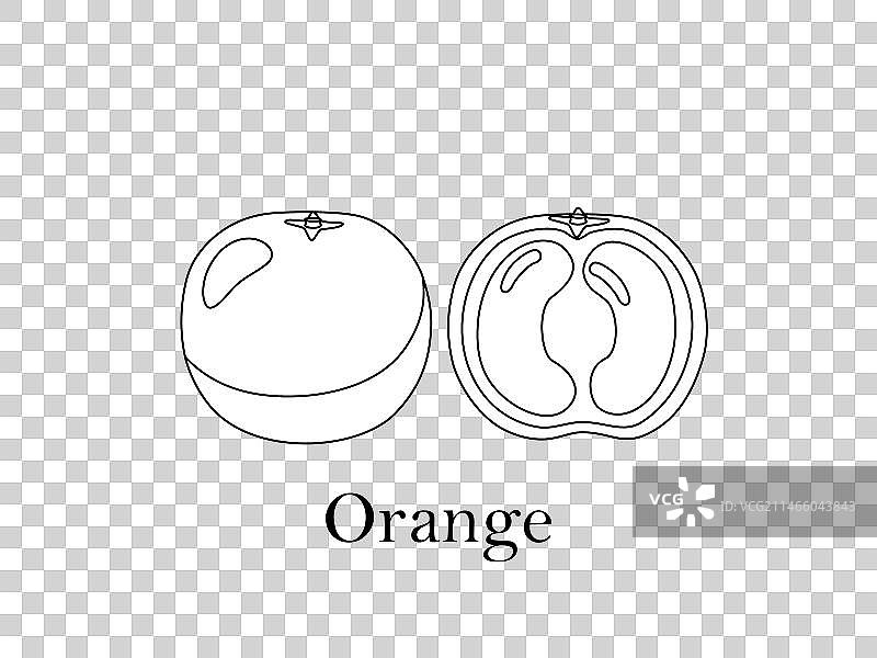 橙子填色卡图片素材