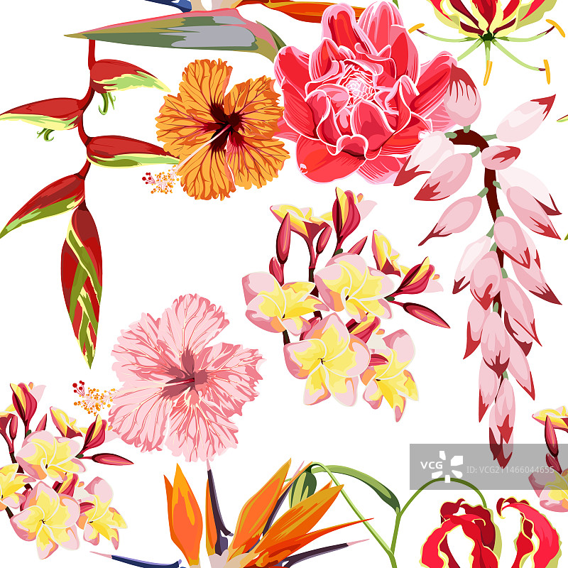 热带花卉无缝图案图片素材