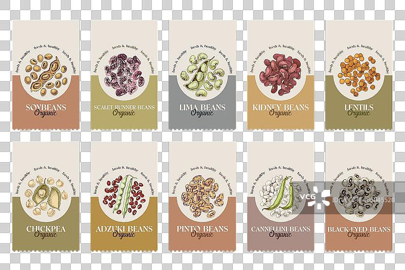 手绘豆类合集图片素材